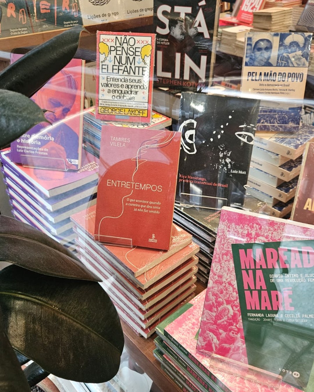 Entretempos em destaque na mesa de novidades de uma livraria